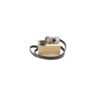 117209732R RENAULT GRUP ALTERNATÖR  KAYIŞ GERGİ KİTİ AKSESUAR LAGUNA-II 2x0 16V (F4R) TRAFIC MASTER (02-)