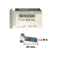 7701020243 RENAULT DACIA LAGUNA-KANGO-MEGANE KALIPER CIVATASI (10 ADET)
