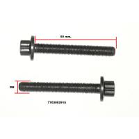 7703002915 RENAULT KARTER BLOK CIVATASI MASTER-KANGO