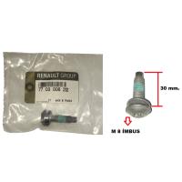 7703008212 RENAULT DACIA KAPI MENTESE KILIT CIVATASI DUSTER LOGAN SANDERO KANGO KOLEOS JUKE NAVARA X-TRAIL (10 ADET)