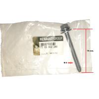 7703602288 RENAULT AKU PANEL BAGLANTI CIVATASI FLUENCE MEGAN III CLIO KANGO (10 ADET)