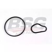 BPE117012 PEUGEOT CONTA P301 VAKUM POMPA CONTASI DV6C 455624