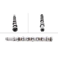 INA 428018310 EKSANTRİK MİLİ FORD COURIER 14> FOCUS III 11> CxMAX 1x6TDCI 11> 0801xFC-AV6Q6250BA-1685737-3133019