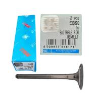 TRW 539006 RENAULT R19-CLIO MOTOR SUBAP VALF IN 510204F, 510204-F, 7701466716 (2 LI PAKET)